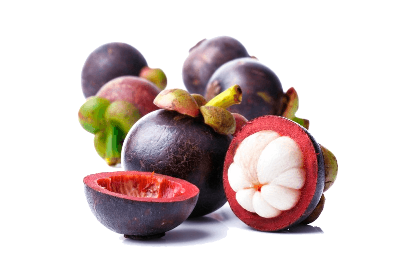 Mangosteen, graded and packed where it grows.